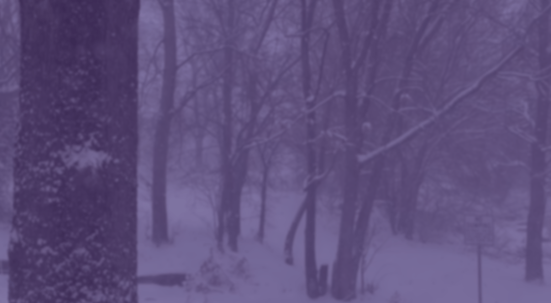 LODESTARTreeBanner