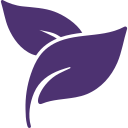 herbal-spa-treatment-leaves